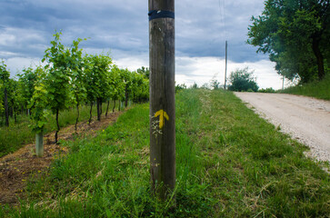 La freccia gialla che indica la direzione della Via Postumia, cammino che parte da Aquileia e...