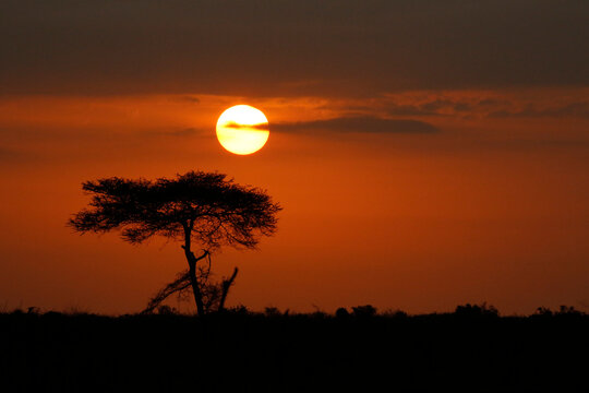Early Morning Sun Rising over Tsavo East, Kenya