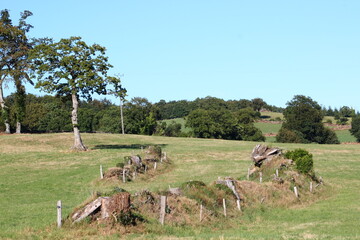 champ culture et fenaison