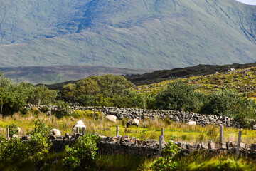 Kylmore Abbey school and garden in Ireland