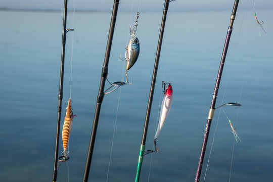 canne a peche appats