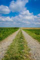 Un tratto della Via Postumia, cammino che parte da Aquileia e arriva a Genova, corre lungo una strada di campagna sotto un cielo pieno di nuvole bianche