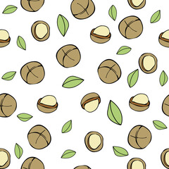 Seamless pattern with macadamia nuts and green leaves on a white background. Vector illustration.