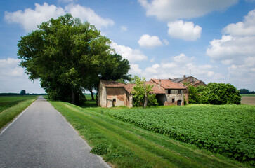 Un tratto della Via Postumia, cammino che parte da Aquileia e arriva a Genova, passa vicino a una fattoria e a un albero lungo una strada di campagna sotto un cielo pieno di nuvole bianche