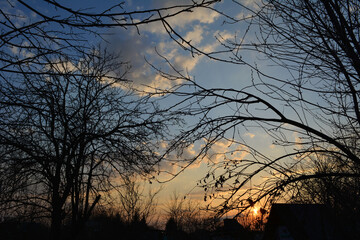 Picturesque sunset in the garden with leafless fruit trees in early spring