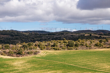 Fototapeta na wymiar Wind farm in Valdorba, Navarre