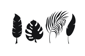 Set of silhouettes of tropical, palm leaves and branches on white background. Vector icons.