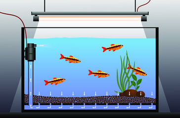 Equipment for an aquarium with fish. 
Schematic diagram of an aquarium with a under gravel fish tank bottom filtration. Aquarium filter vector illustration.