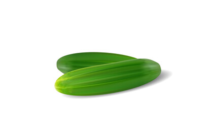 cucumber isolated , cucumber on white