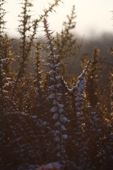 en hiver 