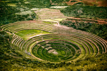 Agricultural terraces in Sacred Valley Moray in Peru. Soth America nature