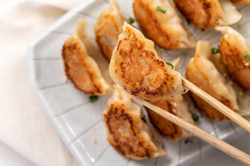 Pan-fried gyoza dumpling jiaozi in a plate with soy sauce on white table background.