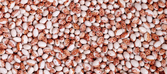 Red and white beans texture for background. Organic natural kidney bean background with copy space for text, top view. Close up haricot grains flat lay. Healthy food macro concept.