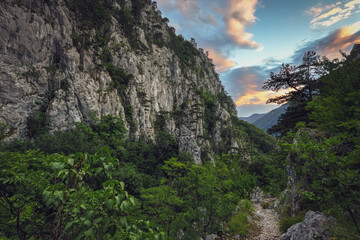 Tasnei Gorges, Romania