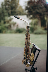 saxophone in the park