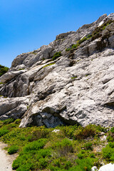 白い岩肌が美しい白崎海洋公園