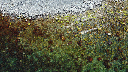 drone dji Mavic mini SE