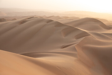Quintessential desert landscape during sunrise hours.
