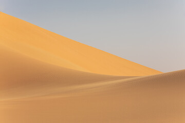 Quintessential desert landscape during sunrise hours.