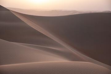 Quintessential desert landscape during sunrise hours.