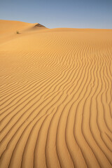 Quintessential desert landscape during sunrise hours.