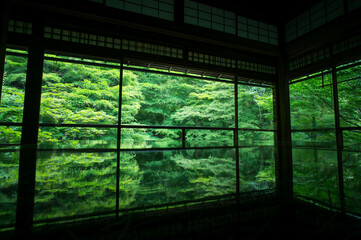京都・瑠璃光院、もみじの新緑とテーブル	