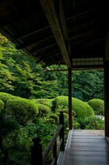 Corridor and beautiful garden in Shisendo, Kyoto, Japan