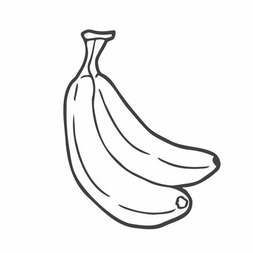 Vector Sketch Set of Banana Illustrations in doodle style