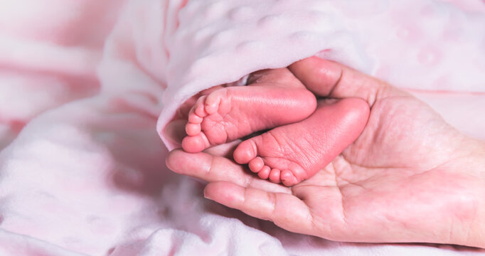 Close up images, Feet of 7-day-old Asian baby newborn are placed on the mother's hand, which has pink skin, On pink background, to family and baby newborn concept
