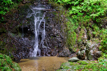 徳島県は勝浦町の裏見の不動の滝