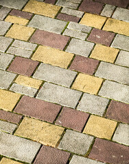 Brick road. Yellow, red, grey bricks.