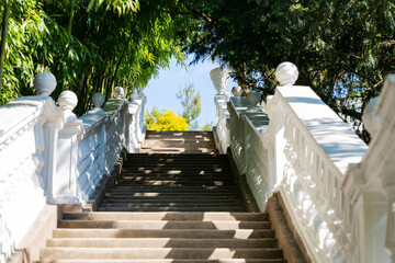 stairs in the park leading up to the blue sky.