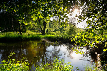 sunshine above summer river with beaver dam - obrazy, fototapety, plakaty