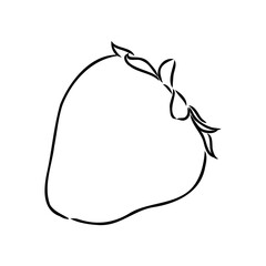 Strawberry hand drawn vector illustration. Sketch style drawing isolated on white background with leaf. Organic vegetarian object for menu, label, recipe, product packaging