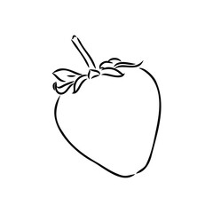 Strawberry hand drawn vector illustration. Sketch style drawing isolated on white background with leaf. Organic vegetarian object for menu, label, recipe, product packaging