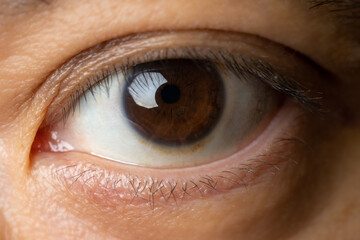 Fototapeta premium 目のアップ