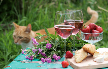 Summer romantic picnic. Sparkling wine, fruit and flowers on a wooden table. Ginger cat on a background. Selective focus. 