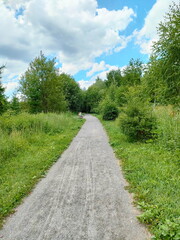 Walking path in the park and forest park
