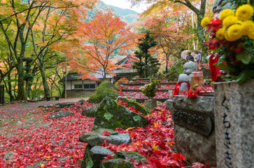 大威徳寺（大阪府岸和田市）の紅葉