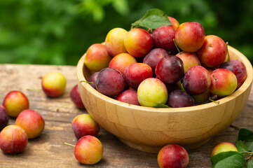 Fresh organic red plums in bowl on wooden table in the garden, summur fruit