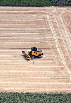 Harvesting on the wheat field aerial photo