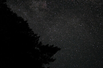 Starry sky in the mountains. View of the stars from the forest. Clear starry sky. Shooting star. Zvëzdnoye nebo v Kanade. Zvëzdnoye nebo na Alyaske