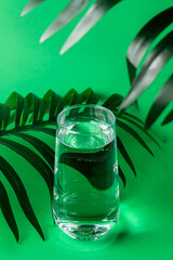 Drinking natural water. A glass of clean filtered water on a green background. Life source