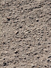 fragment of land in a park in Ukraine