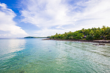 Island sea beach coconut palm tree against blue sky with cloud