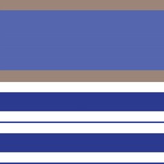 Fototapeta premium Blue Double Striped seamless pattern design