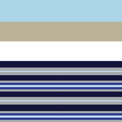 Obraz premium Blue Double Striped seamless pattern design