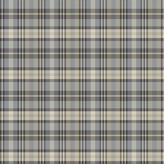 Grey Asymmetric Plaid textured Seamless Pattern