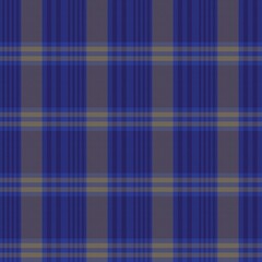 Blue Asymmetric Plaid textured Seamless Pattern