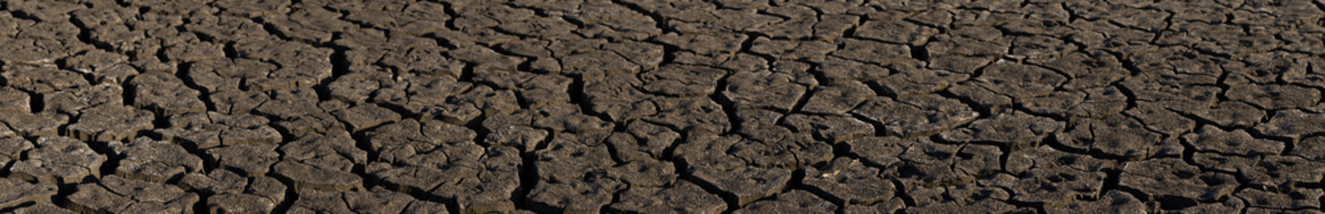 Earth cracked because of drought. The global shortage of water on the planet. Global warming concept. Dry cracks in the land.